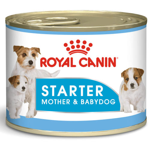 Royal Canin Starter Mother & Babydog Wet Dog Food From £20 ...