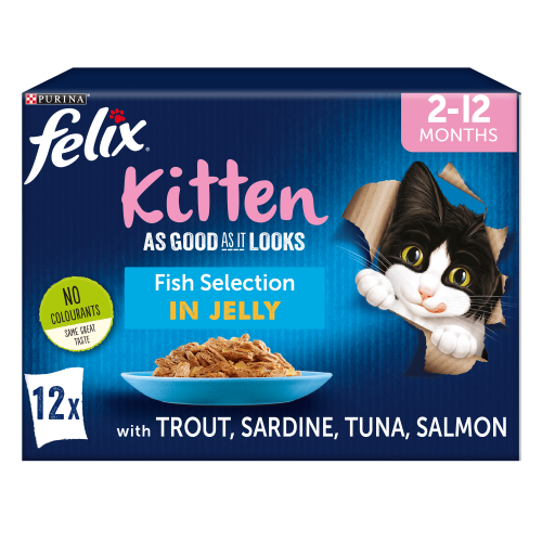 Felix As Good As It Looks Fish Selection in Jelly Kitten Food