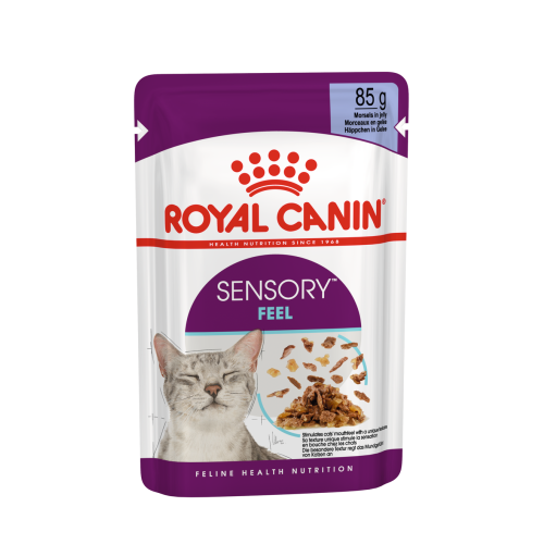 Royal Canin Sensory Feel in Jelly Wet Adult Cat Food