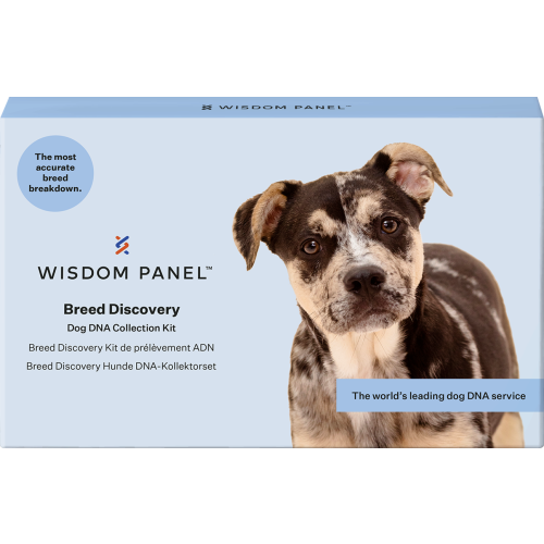Wisdom Panel Breed Discovery Dog DNA Testing Kit
