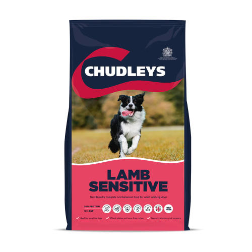 Chudleys Lamb Sensitive Dry Adult Dog Food