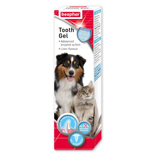 Beaphar Toothgel for Cat & Dogs