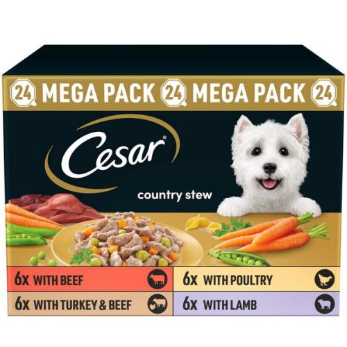 Cesar Classics Terrine Mixed Selection Adult Wet Dog Food
