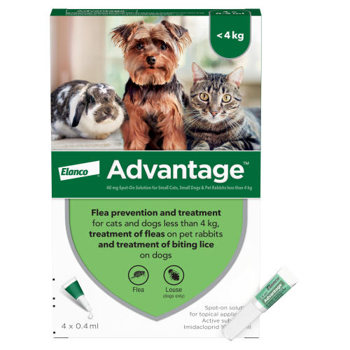 Advantage Flea Control