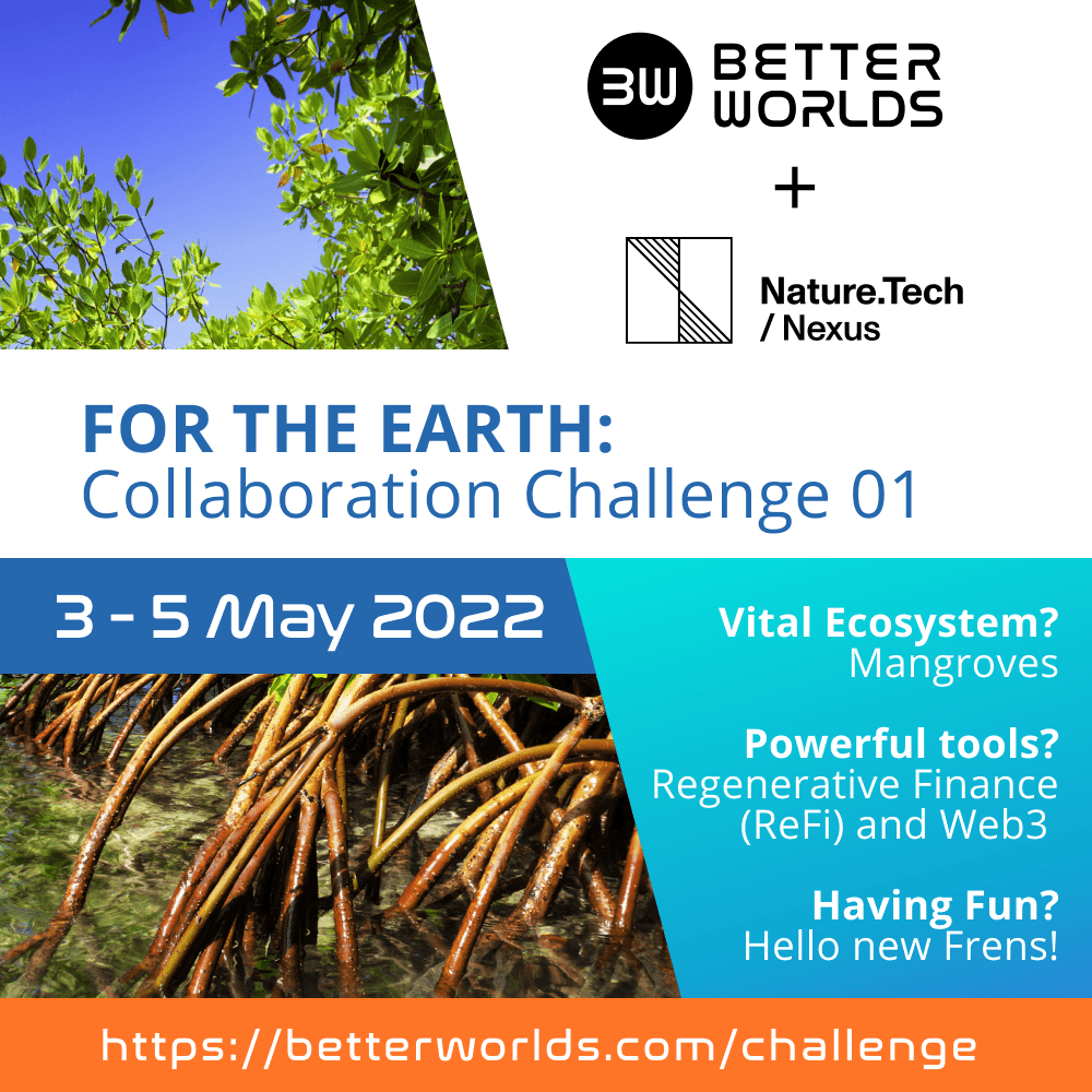 For the Earth: Using the Power of Regenerative Finance and Web3 to Accelerate Mangrove Reforestation
