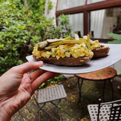 Ljubljana, homemade egg salad cover