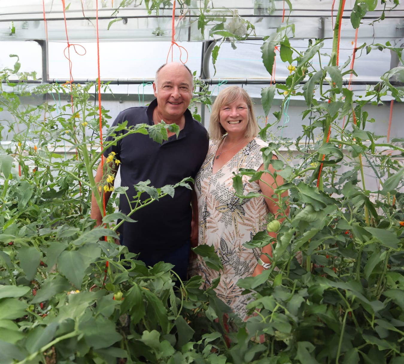 Know Exactly What To Sow, Plant & Harvest All Year Round