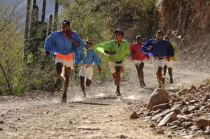 Marathon & Ultra Training, Built For You