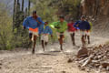 Marathon & Ultra Training, Built For You