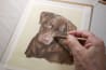 Create Realistic Pet Portraits