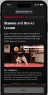 Stances and Blocks lesson