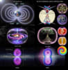 Toroidal Reality