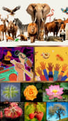 Beauty in Diversity