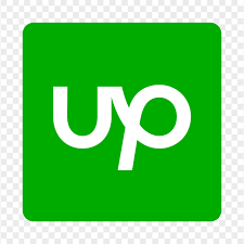 Upwork Client's profile