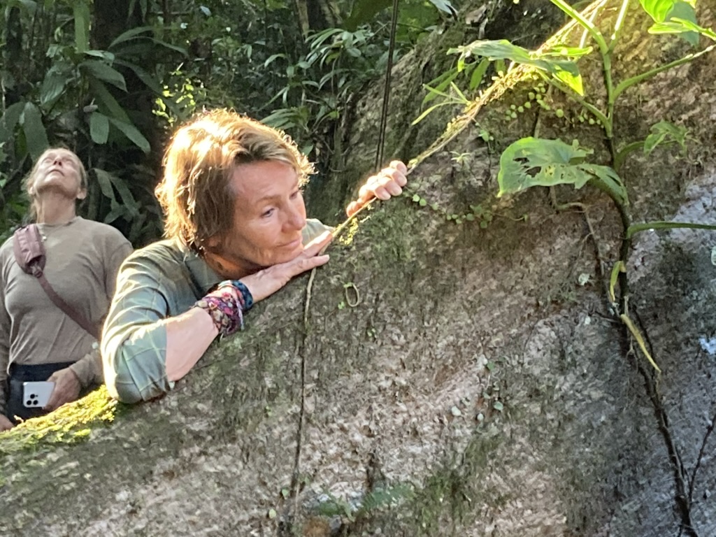 Lynne Twist, Co-Founder of Pachamama Alliance, NY Times Bestselling Author's profile