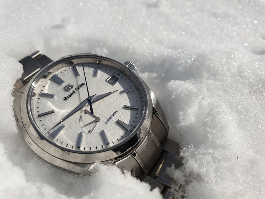 SBGA211 Snowflake in the snow
