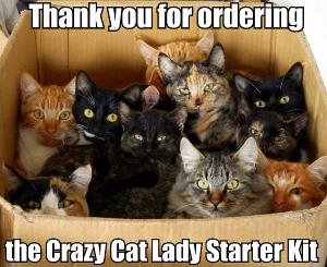 Thank you for ordering the crazy cat lady starter kit