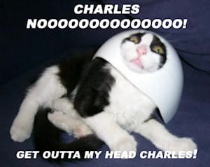 Get out of my head Charles