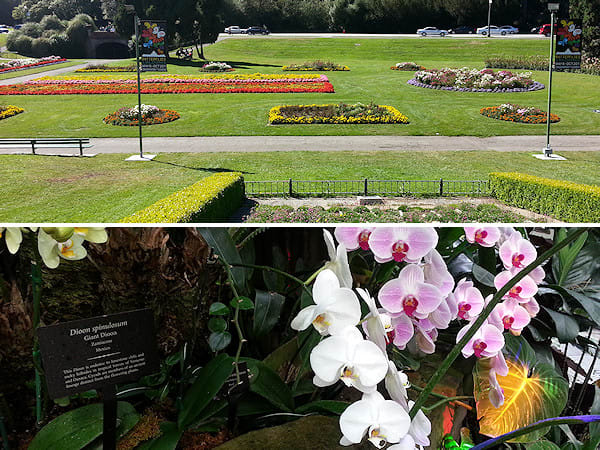 San Francisco Conservatory of Flowers