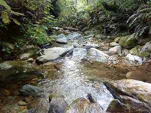 River by Furneaux Lodge