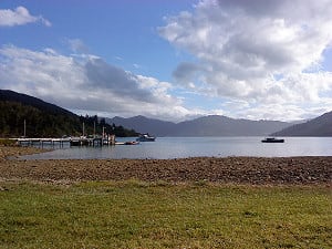 View from Furneaux Lodge