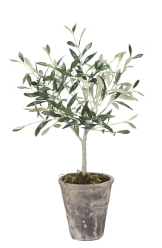 Flora olivier 44 cm.