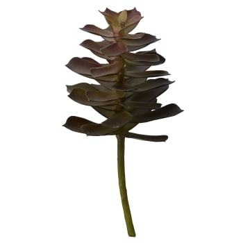 Flora succulent, Green, 18 cm