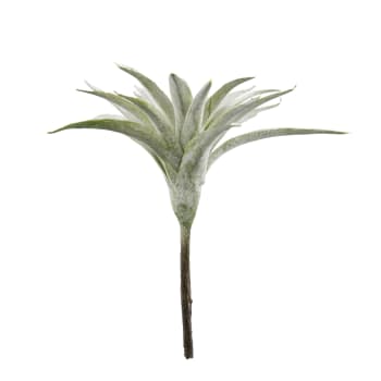 Flora succulent 14X14X13 cm, Green