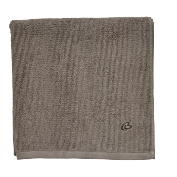 Molli guest towel 50X30X cm, Linen