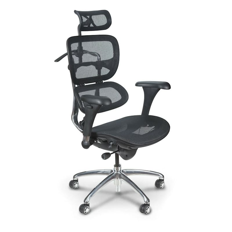Butterfly Ergonomic Executive Office Chair | MooreCo