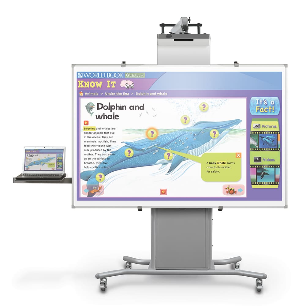 the interactive whiteboard