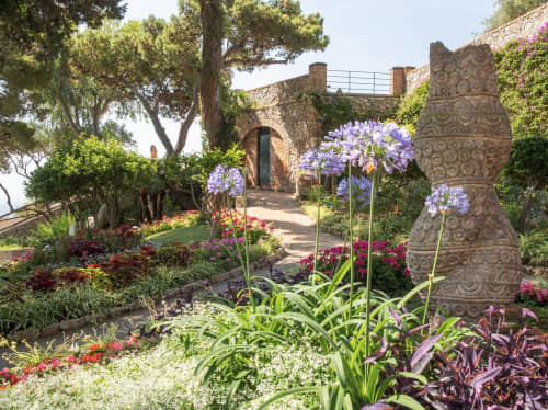 Capri - Giardini di Augusto experience