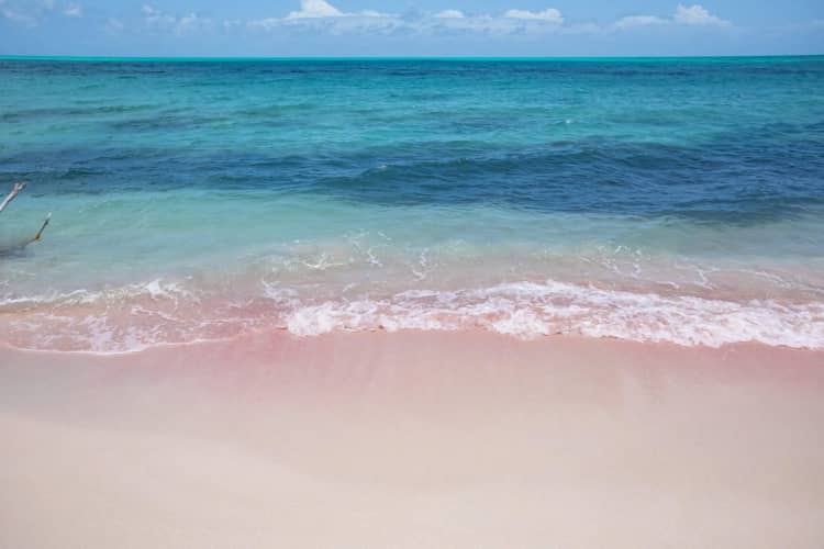 Barbuda Pink Sand Beach
