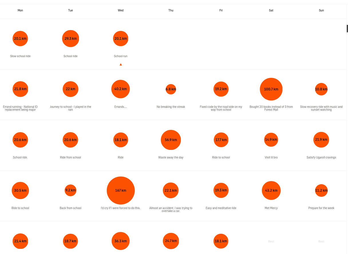 strava log