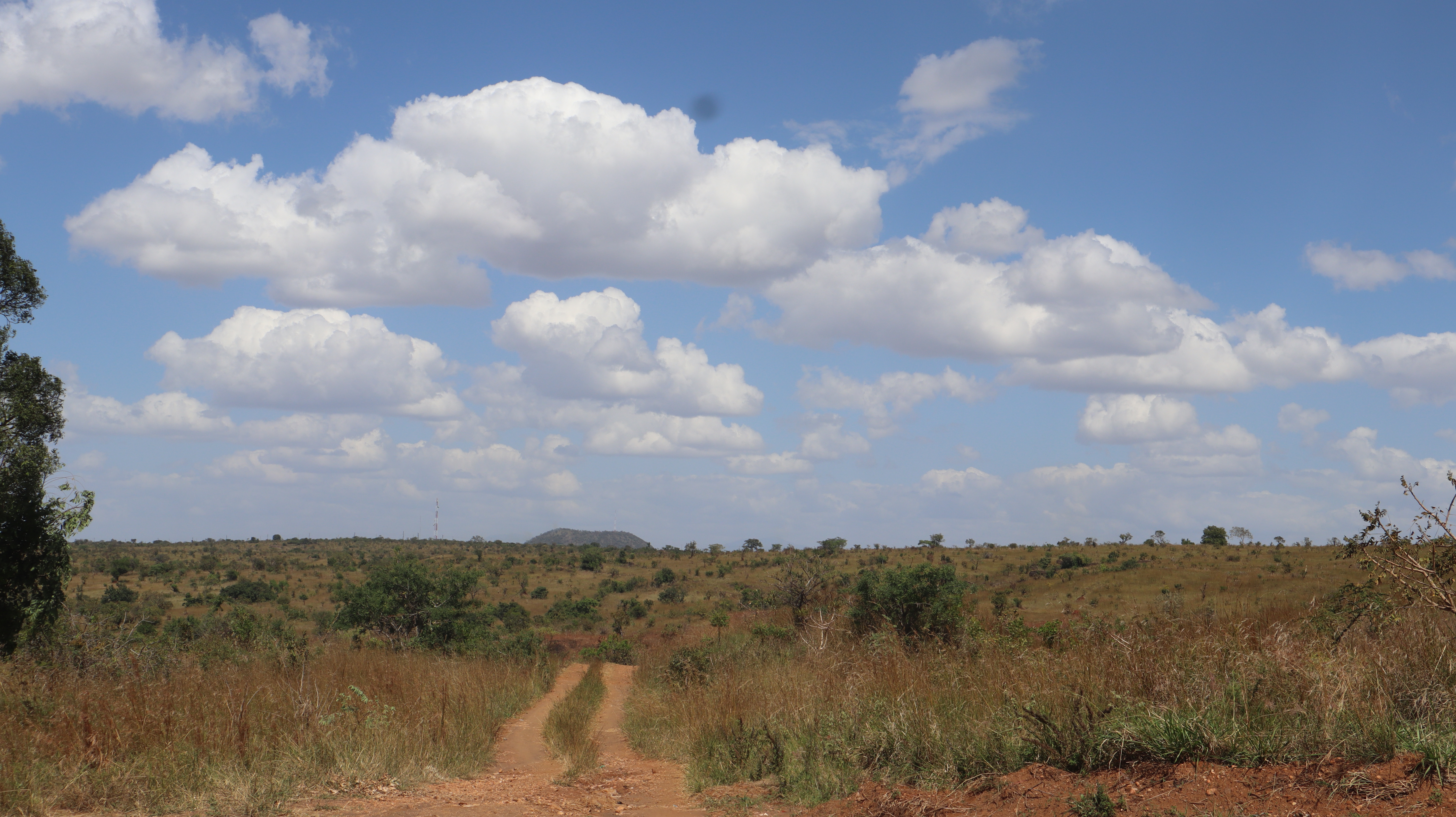 The well beaten path