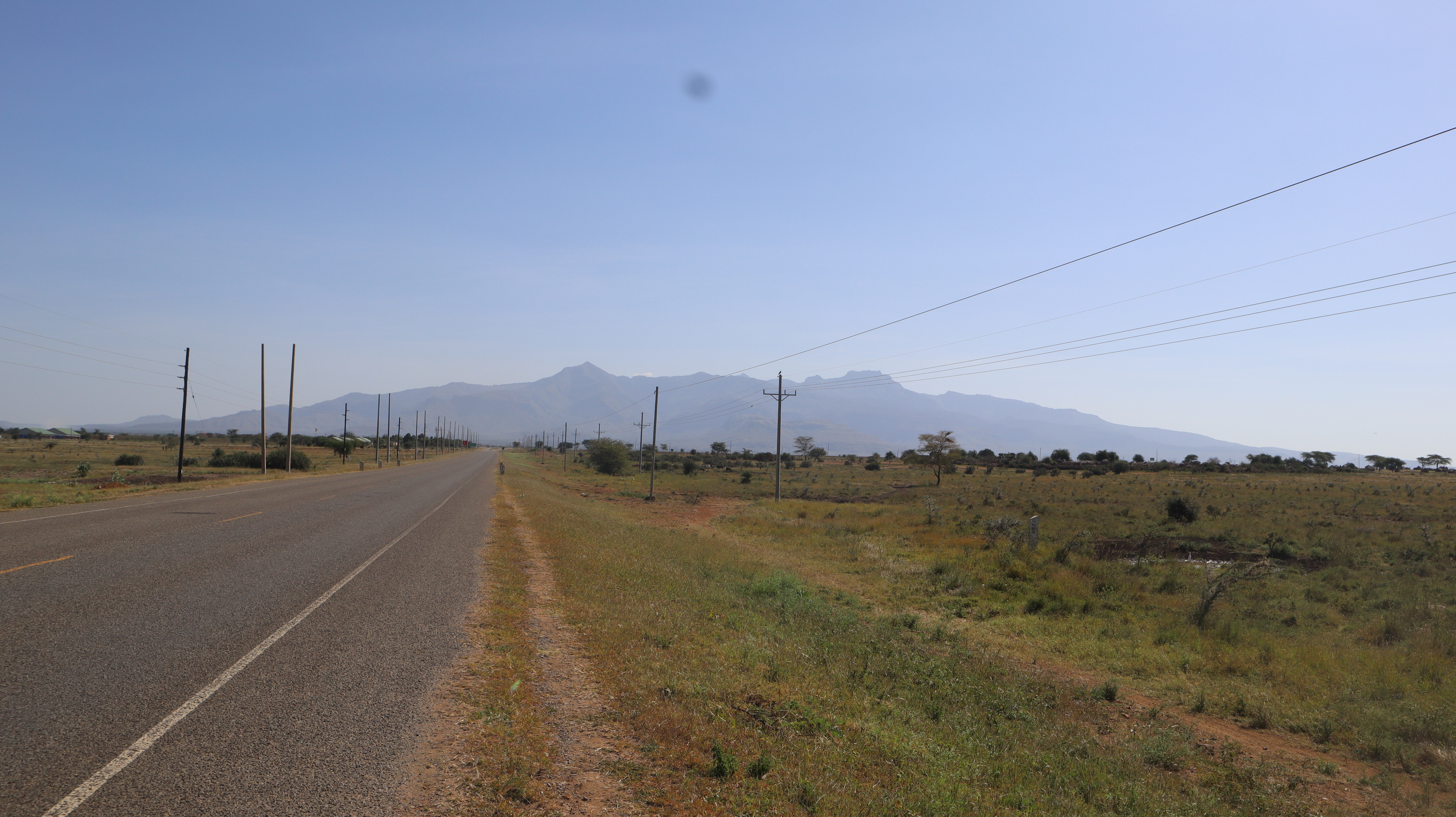 By the road side