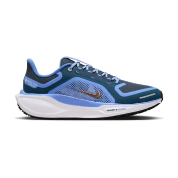 Nike Women&#039;s Pegasus 41 Gore-Tex Road Running Shoes