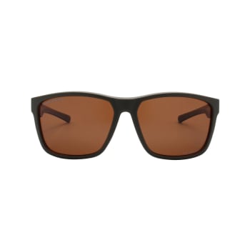 Bourbon Gator -  Functional Polarized