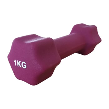 OTG 1KG Dipping Dumbbell