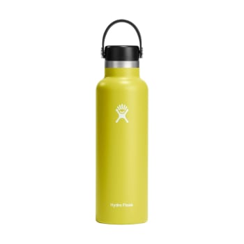 Hydro Flask Standard Mouth 21oz (621ml) Cactus