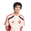 Liverpool Men's 25/26 Urban Purist Tee, product, thumbnail for image variation 3