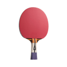 Lion Typhoon Table Tennis Bat, product, thumbnail for image variation 1