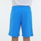 Puma Team Rise Men's Short, product, thumbnail for image variation 5