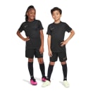 Nike Youth Academy Jersey, product, thumbnail for image variation 4