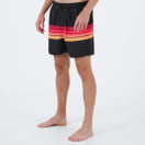 Rip Curl Men's Revival Stripe Watershort, product, thumbnail for image variation 3