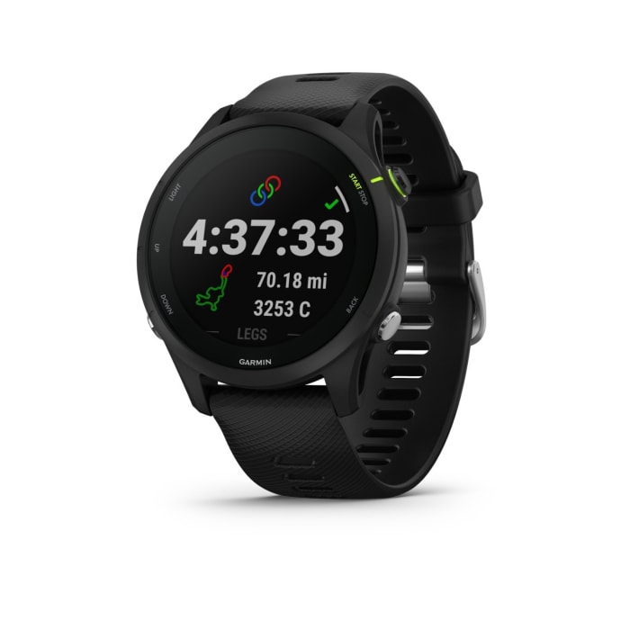 Garmin Forerunner 255 Music Multisport GPS Watch, product, variation 2