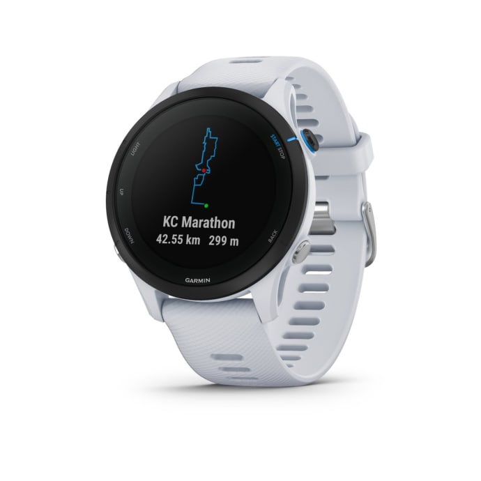 Garmin Forerunner 255 Music Multisport GPS Watch, product, variation 5