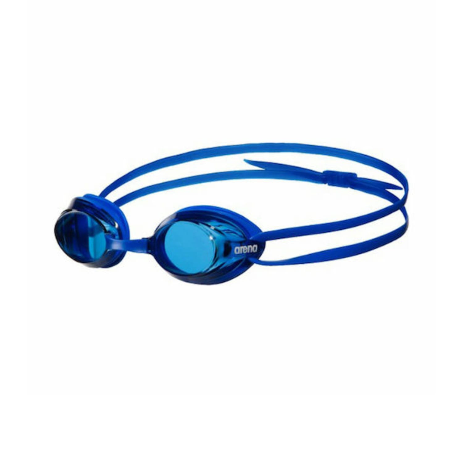 Arena Drive 3 Goggle