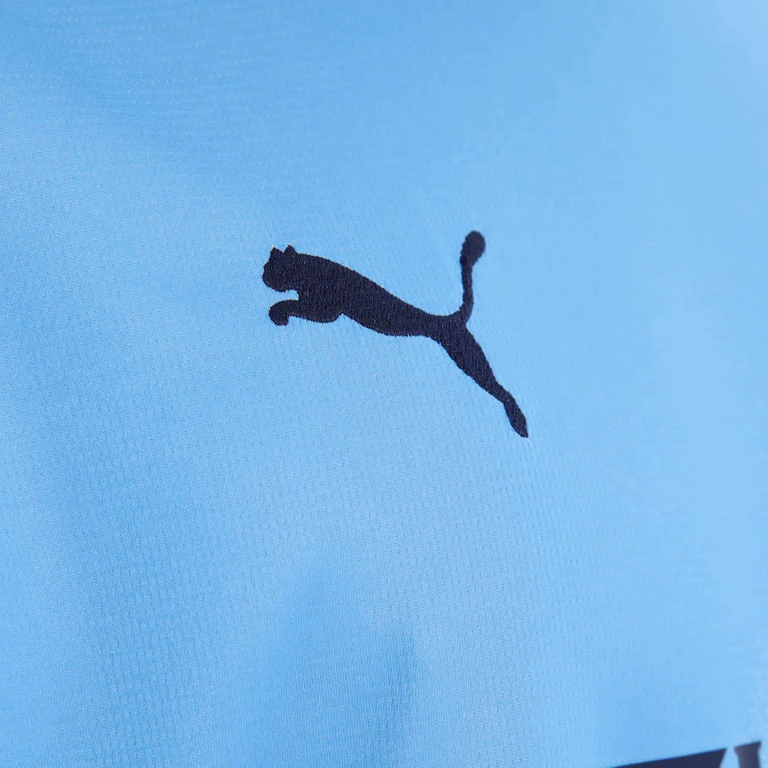 Manchester City Men&#039;s Home 25/26 Long Sleeve Jersey, product, variation 10