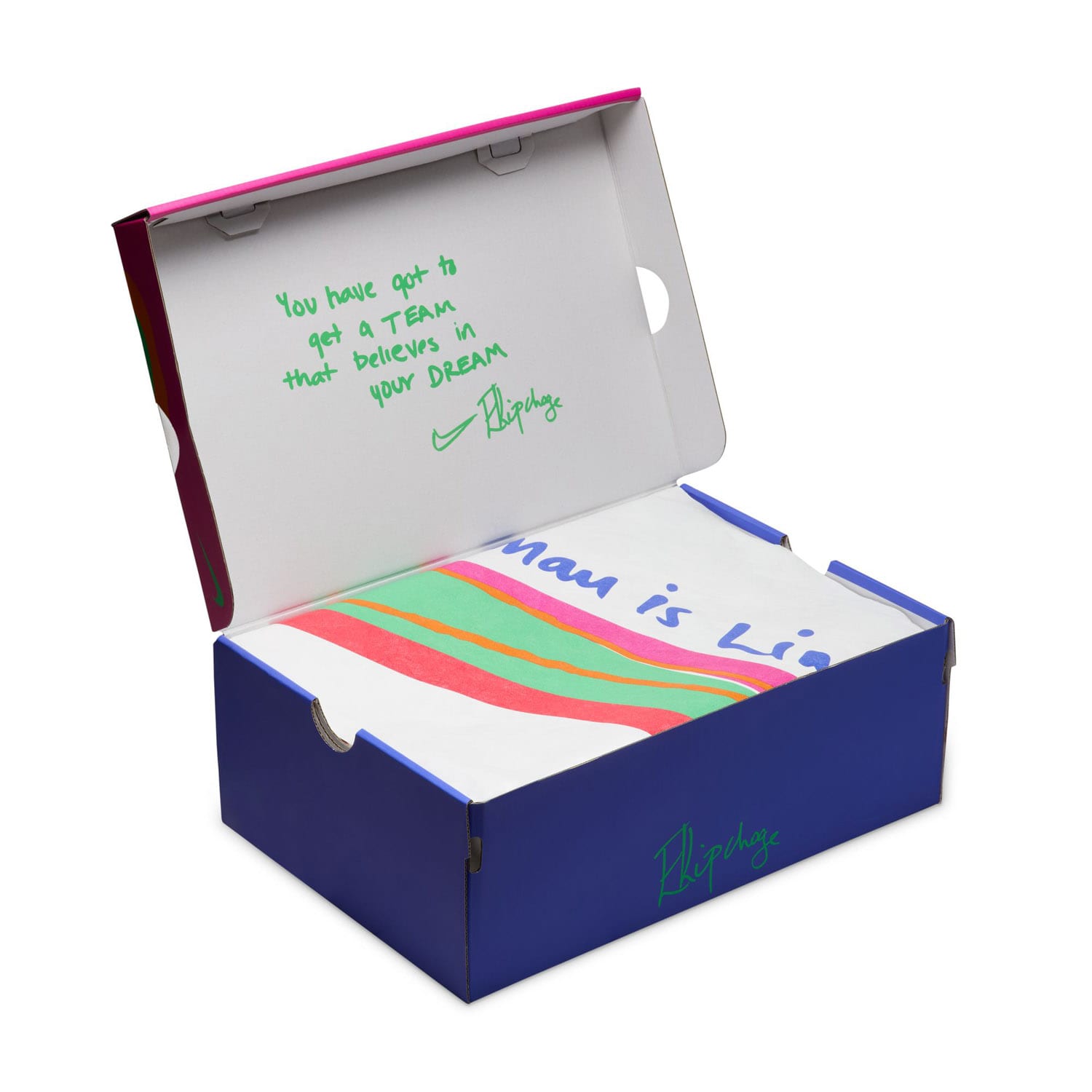 Nike Men&#039;s Vaporfly 4 Eliud Kipchoge Road Running Shoes, product, variation 9